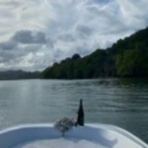 Photo de Profil de BUONAFEDE